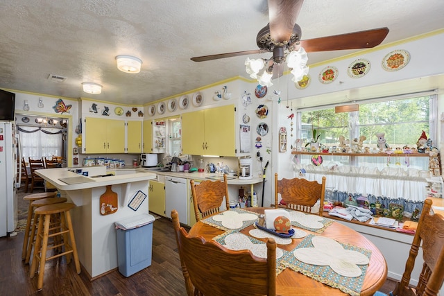 kitchen with white appliances, light countertops, ceiling fan, dark wood-style floors, and a textured ceiling