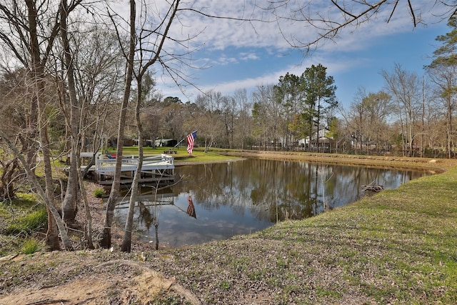 dock area with a water view