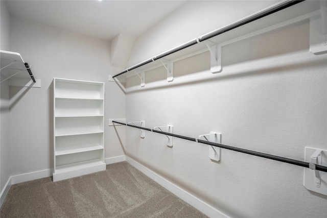 17335 Sunflower Petals Trl, Conroe, TX 77302 - walk in closet with carpet