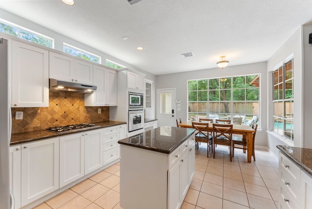 kitchen with a healthy amount of sunlight, stainless steel appliances, decorative backsplash, and under cabinet range hood