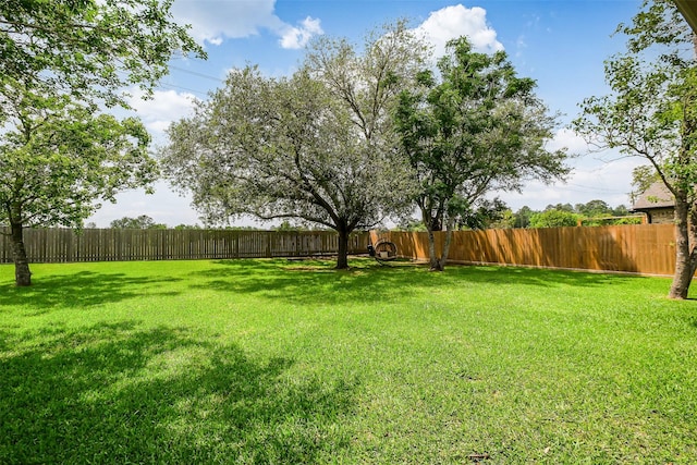 1416 Blueberry Ln, Friendswood, TX 77546 - view of yard