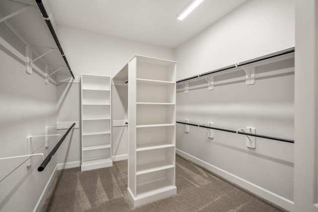 9722 Leafgate Ct, Missouri City, TX 77459 - spacious closet with carpet