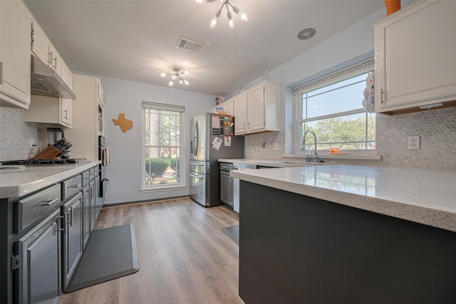 17022 Shadow Valley Dr, Spring, TX 77379 - kitchen featuring under cabinet range hood, a sink, and tasteful backsplash