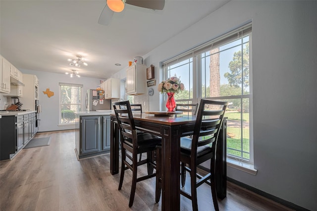 17022 Shadow Valley Dr, Spring, TX 77379 - dining area featuring ceiling fan, plenty of natural light, and wood finished floors