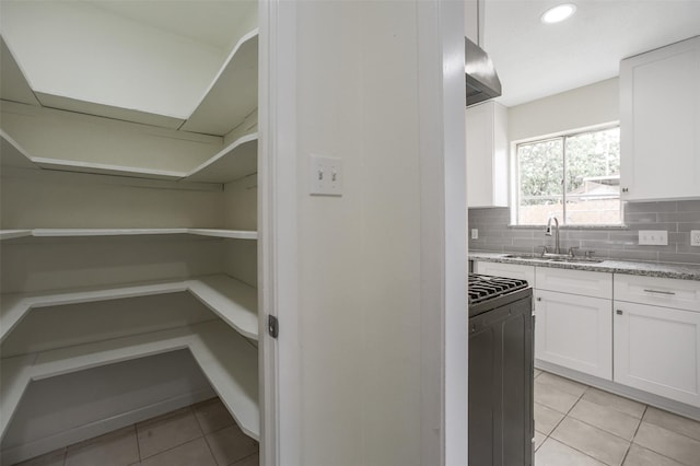 pantry with a sink