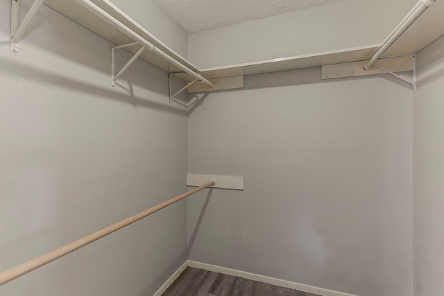 spacious closet with dark wood-style flooring