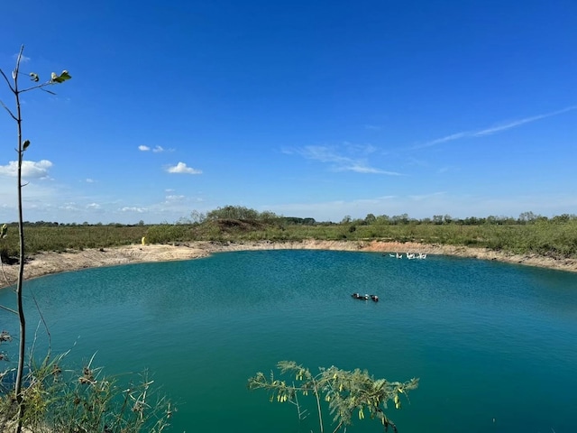 15620 Brumbelow Rd, Needville, TX 77461 - photo 4