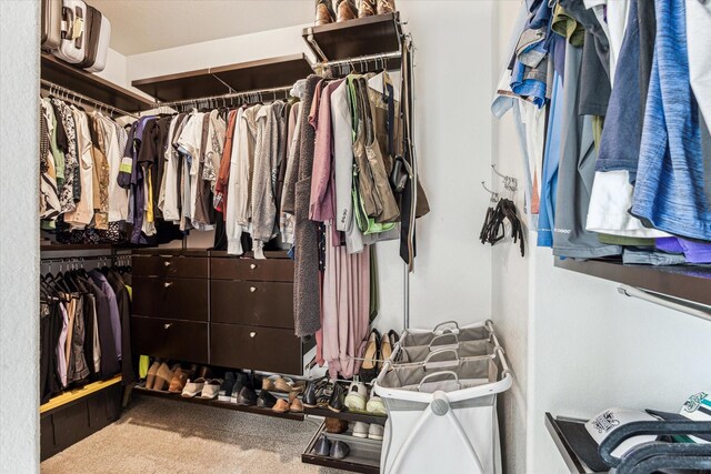 walk in closet featuring carpet floors
