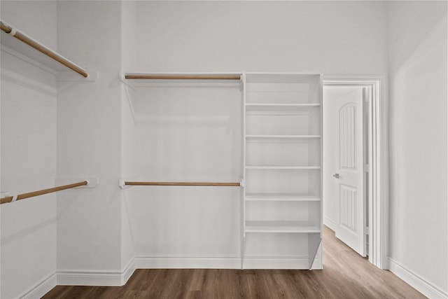 spacious closet featuring wood finished floors