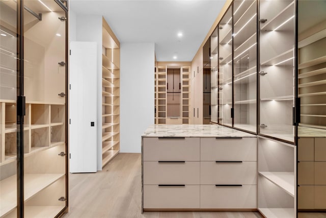 spacious closet featuring light wood-style floors