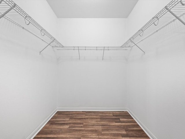 walk in closet featuring dark wood finished floors