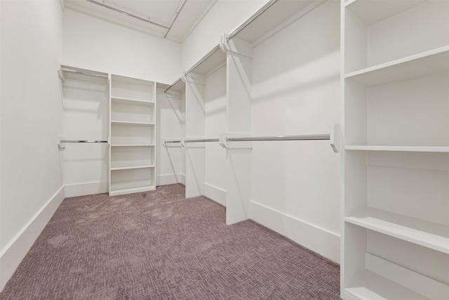 walk in closet featuring carpet and attic access