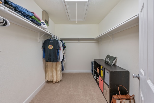 walk in closet with carpet floors and attic access