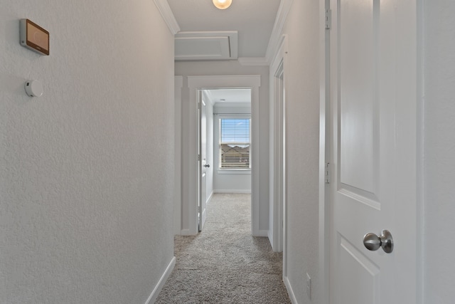 hall featuring carpet floors, baseboards, and attic access