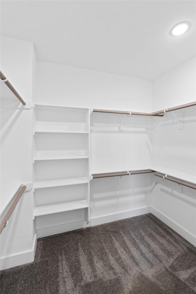 spacious closet with dark colored carpet