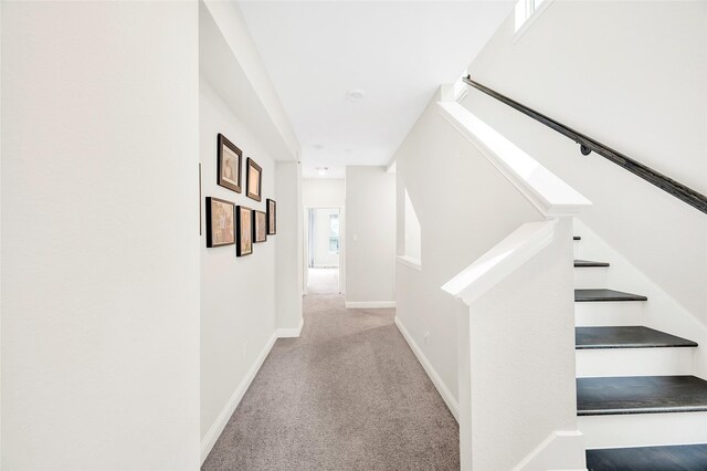 1705 Red Oak Point Dr, Houston, TX 77055 - corridor with carpet and baseboards
