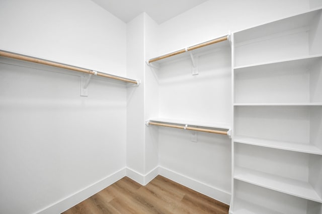 spacious closet featuring wood finished floors