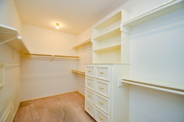 spacious closet featuring light carpet