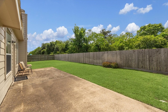 view of yard with a patio area and a fenced backyard
