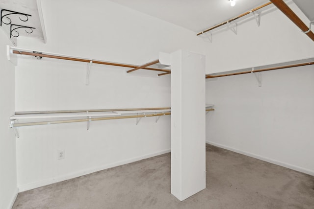 walk in closet featuring carpet floors