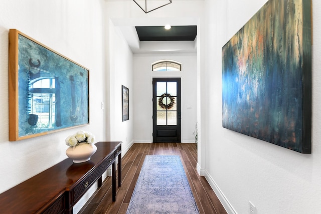 entryway featuring dark wood-style floors, a wealth of natural light, and a tray ceiling