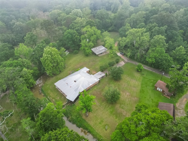 bird's eye view
