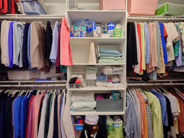 view of spacious closet