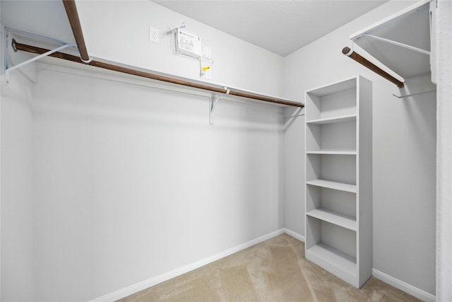 spacious closet featuring carpet floors