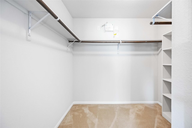 walk in closet featuring carpet