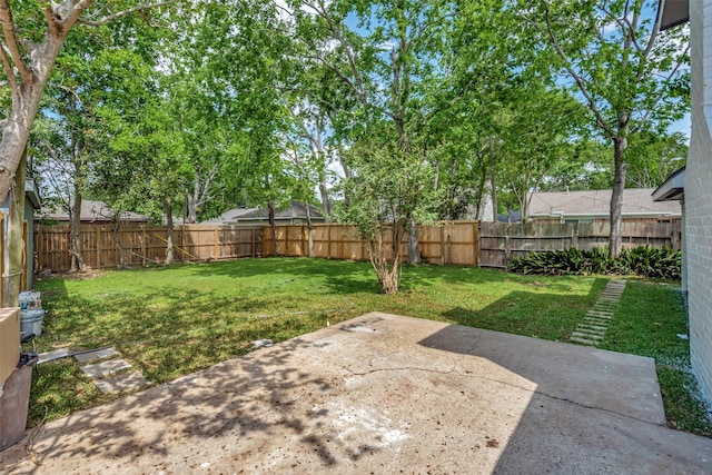 view of yard featuring a patio and a fenced backyard