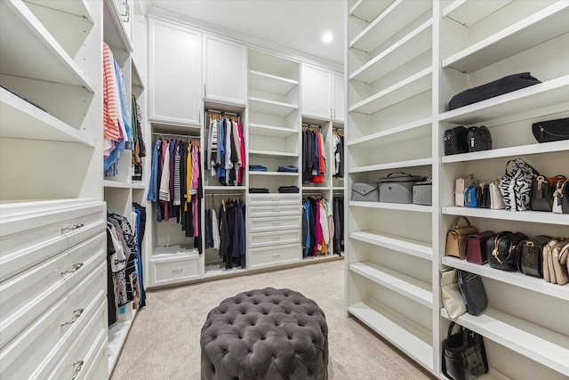 13927 Perthshire Rd, Houston, TX 77079 - spacious closet featuring light carpet