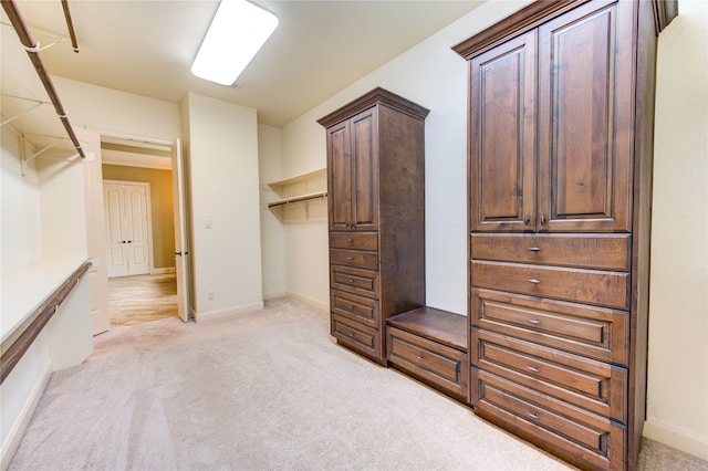 spacious closet with light colored carpet