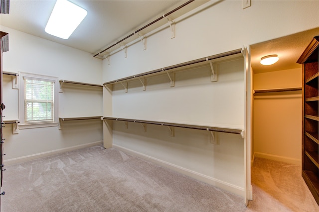 spacious closet featuring carpet flooring