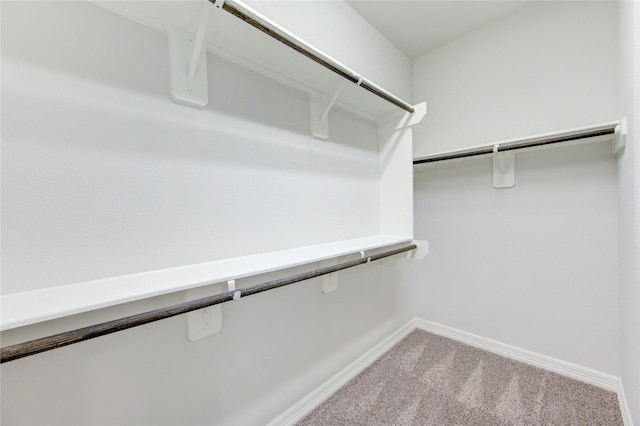 spacious closet with carpet floors