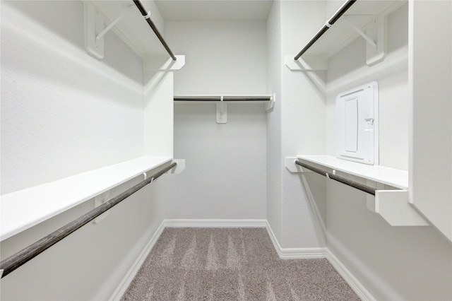 spacious closet with carpet flooring