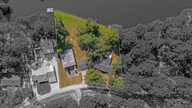 29133 E Lake Dr, Hempstead, TX 77445 - bird's eye view