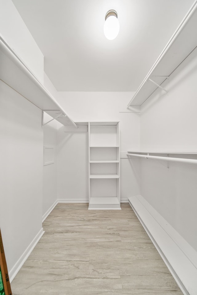 29133 E Lake Dr, Hempstead, TX 77445 - spacious closet with light wood-type flooring