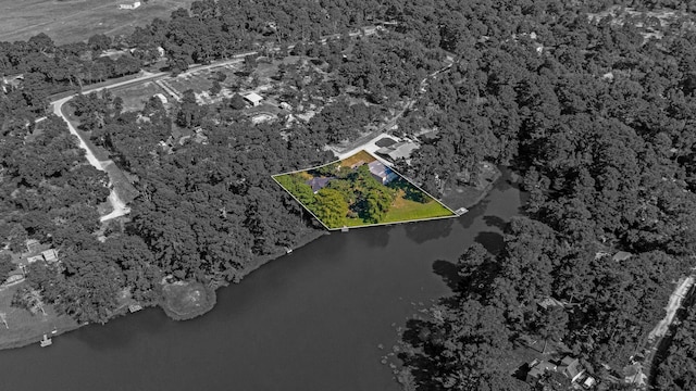 29133 E Lake Dr, Hempstead, TX 77445 - aerial view with a water view and a forest view