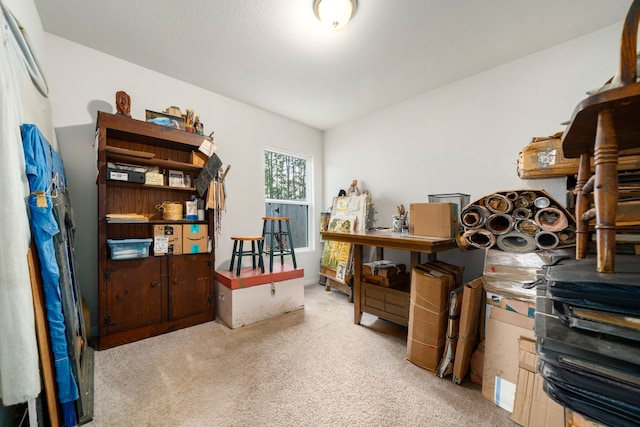 home office with carpet floors