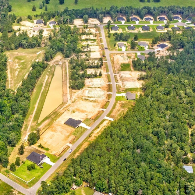 drone / aerial view