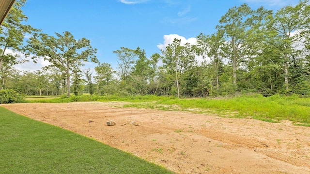 11143 Williams Reserve Dr, Conroe, TX 77303 - view of yard