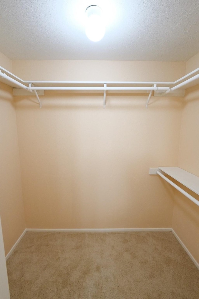 spacious closet with carpet floors