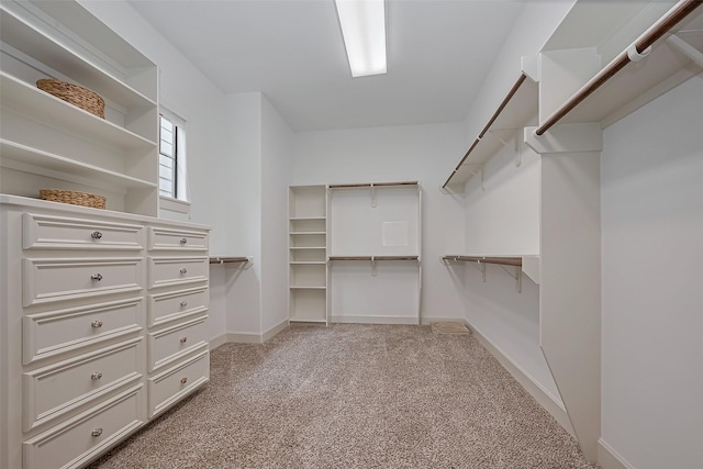 spacious closet with carpet