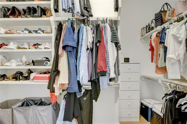 view of walk in closet