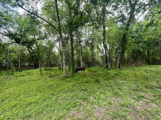 view of local wilderness with a wooded view
