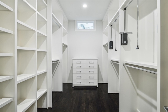 walk in closet with dark wood-type flooring