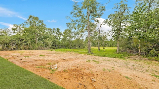 11131 Williams Reserve Dr, Conroe, TX 77303 - photo 22