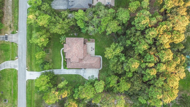 4014 N Rondelet Dr, Spring, TX 77386 - bird's eye view