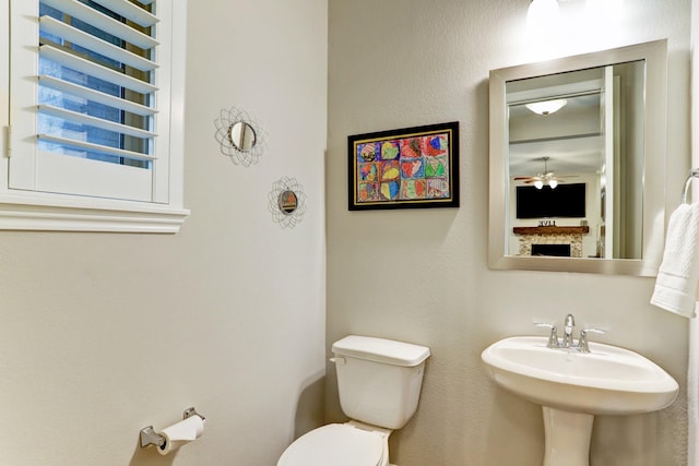 bathroom with a sink, a ceiling fan, and toilet