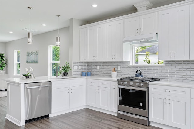 kitchen featuring a sink, stainless steel appliances, a peninsula, light wood-type flooring, and under cabinet range hood